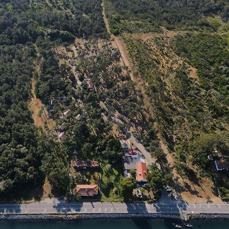 Hotel Parque De Campismo Orbitur São Jacinto Esterno foto